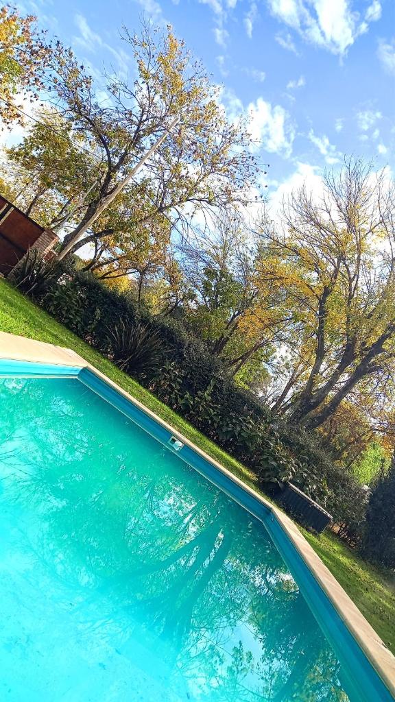 Casa bajo los arboles photo 4