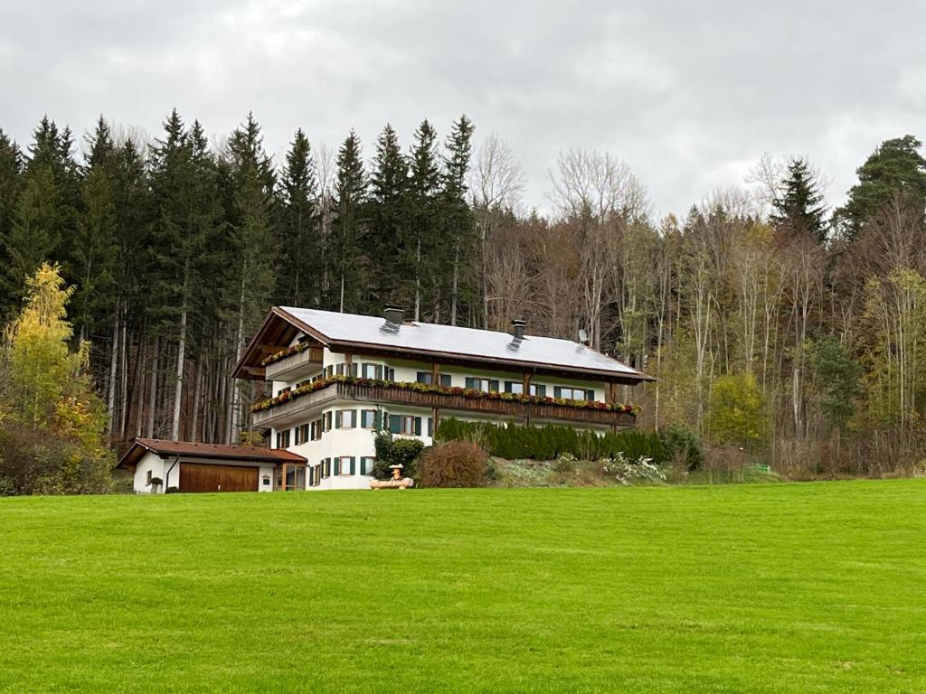 Ferienhaus am Wald