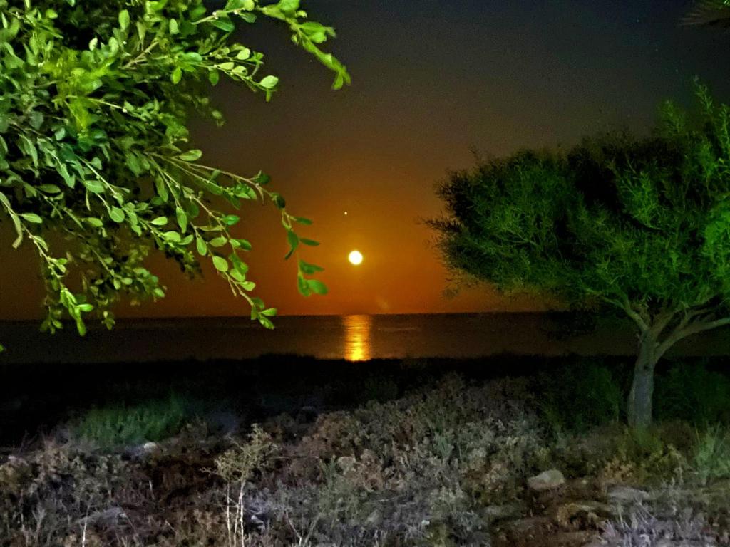 Paradise Karpaz Hotel & Restaurant photo 1