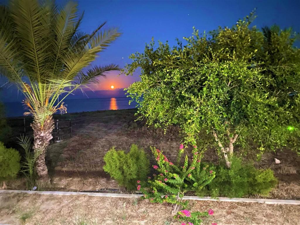 Paradise Karpaz Hotel & Restaurant photo 4
