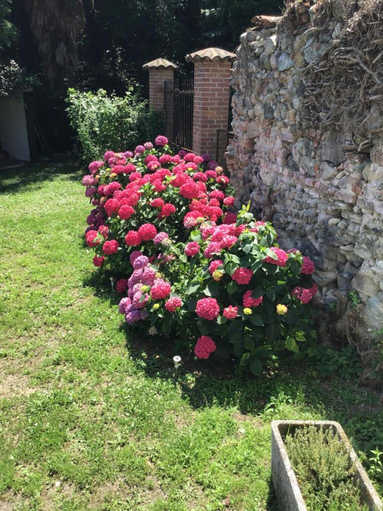 Casale a la campagne photo 3