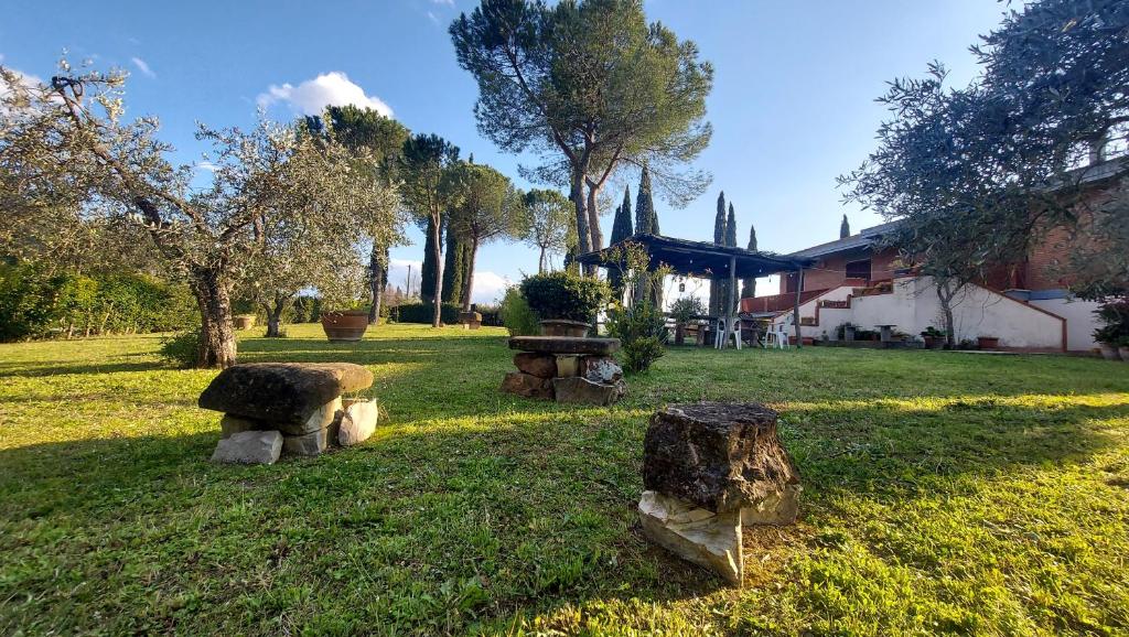 Villa del Biondo photo 3