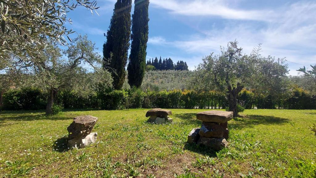 Il Paretaietto photo 3