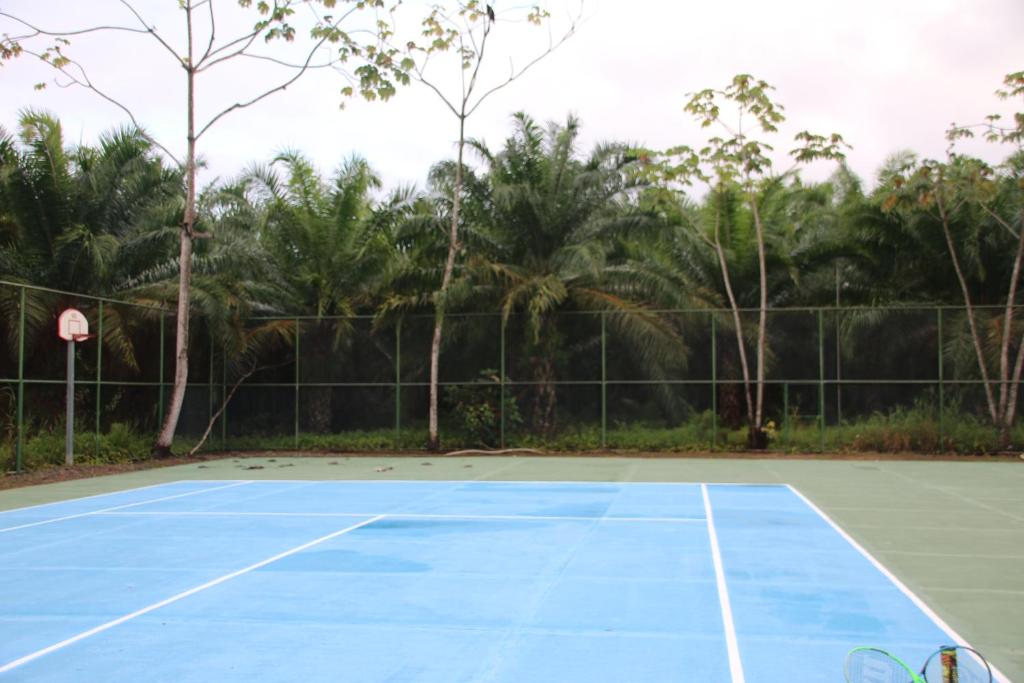 Tropical Bliss Pool Wi-Fi BBQ Near Quepos Manuel Antonio photo 4