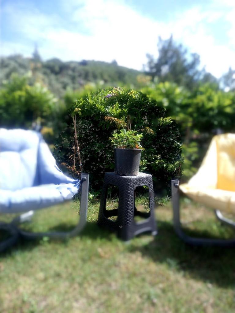 Başaran tatil evleri photo 3