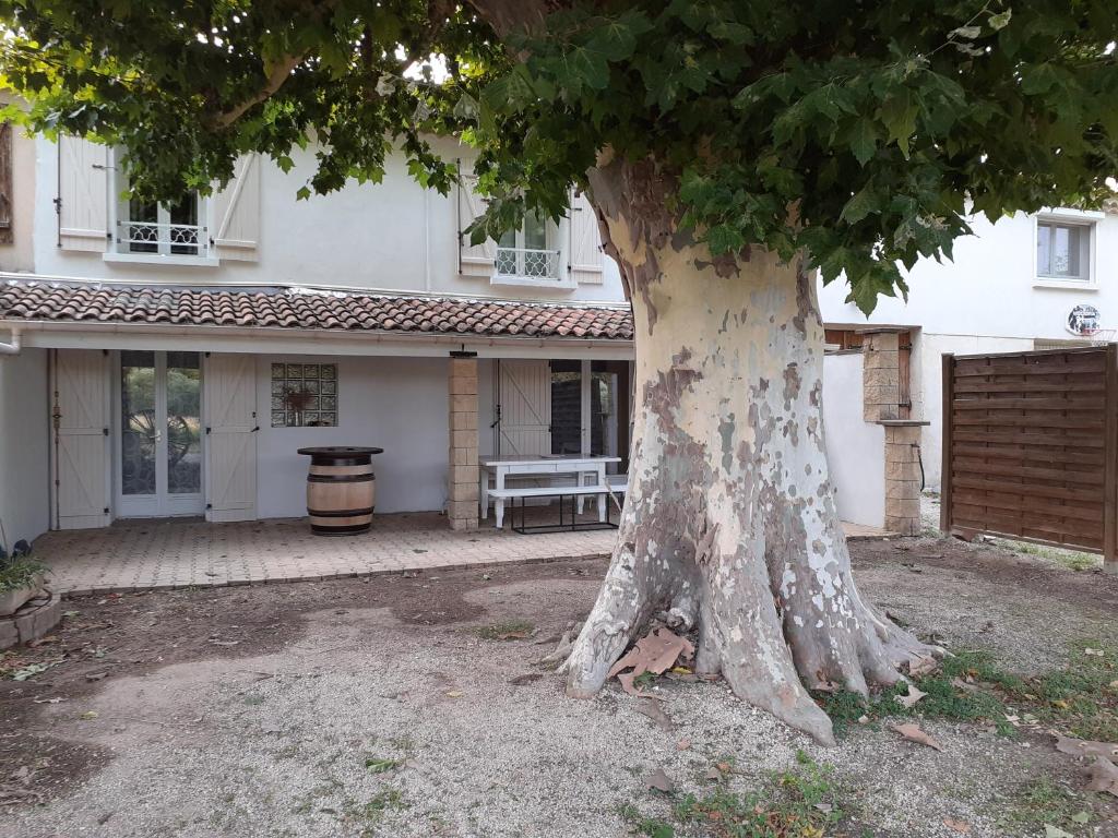 Mas provençal photo 1