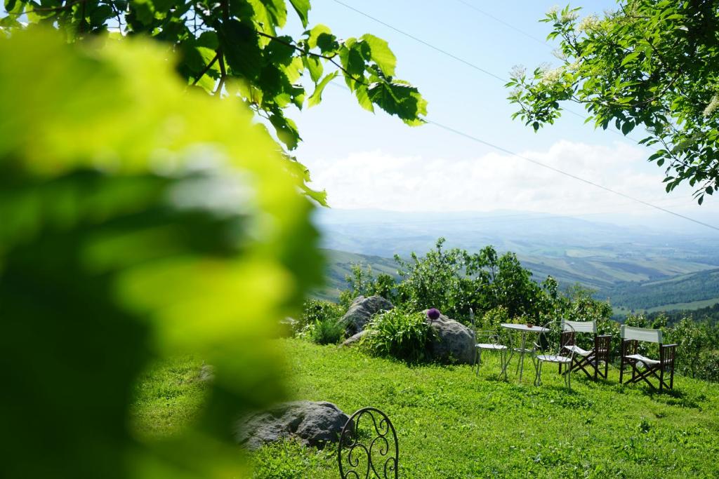 CASTAGNA DULCIS photo 2
