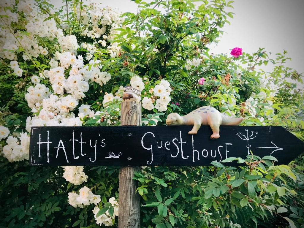 Hatty's Guesthouse photo 1