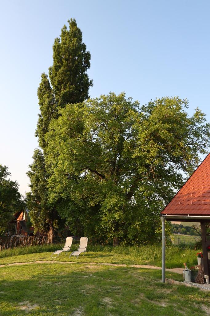 Hiška pod Klumpo photo 1