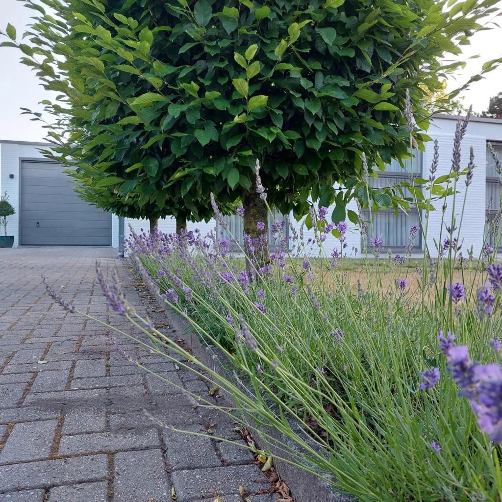 Vakantiewoning De Papendaler photo 1