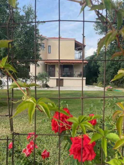 Κάμπος photo 3