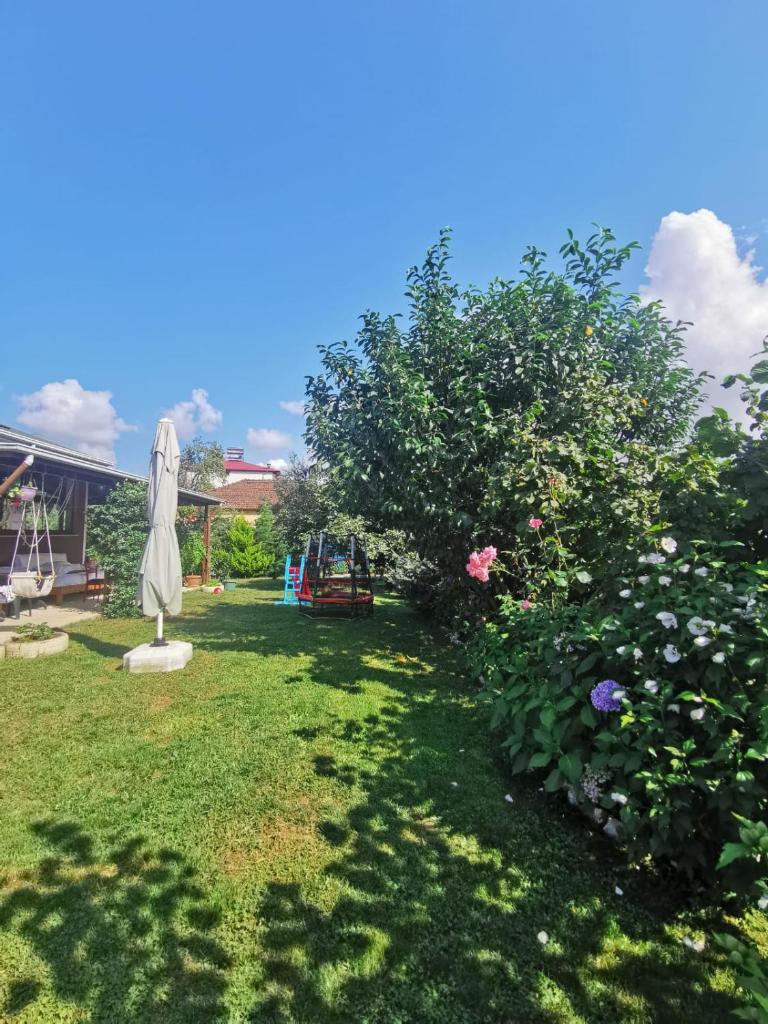 Villa Düzyurt photo 4