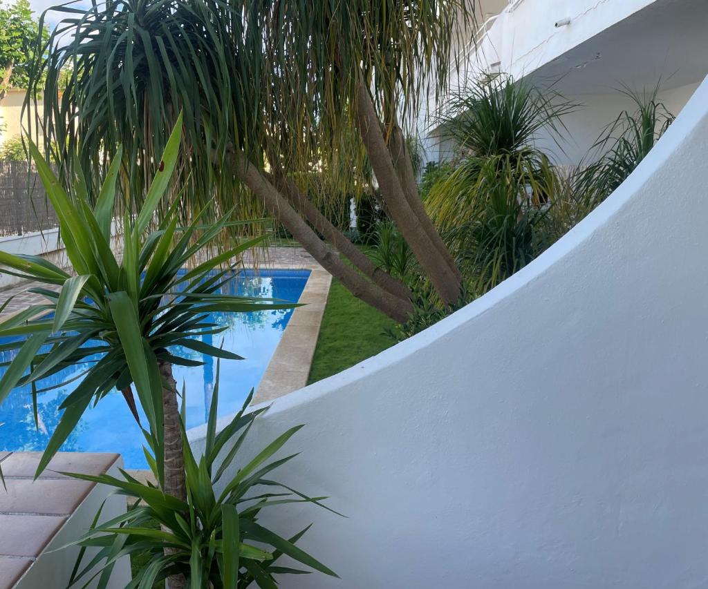 Casa Olé