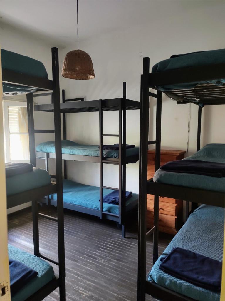El Bicho Negro Hostel photo 2