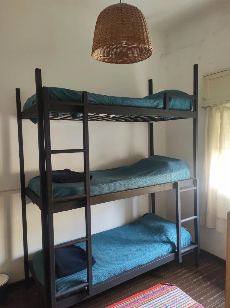 El Bicho Negro Hostel photo 1