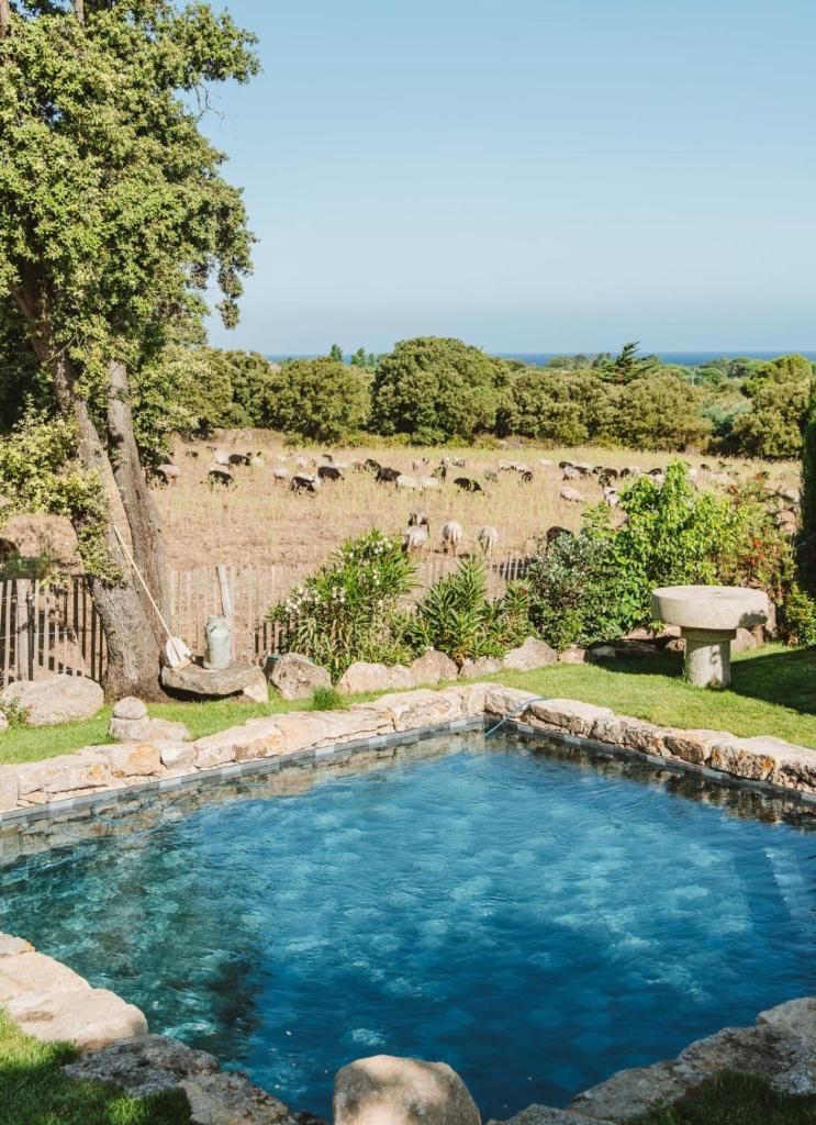 Residence CASE DI PI GNA, deux magnifiques villas indépendantes avec piscines individuelles , proches de la plage d'Algajola photo 1