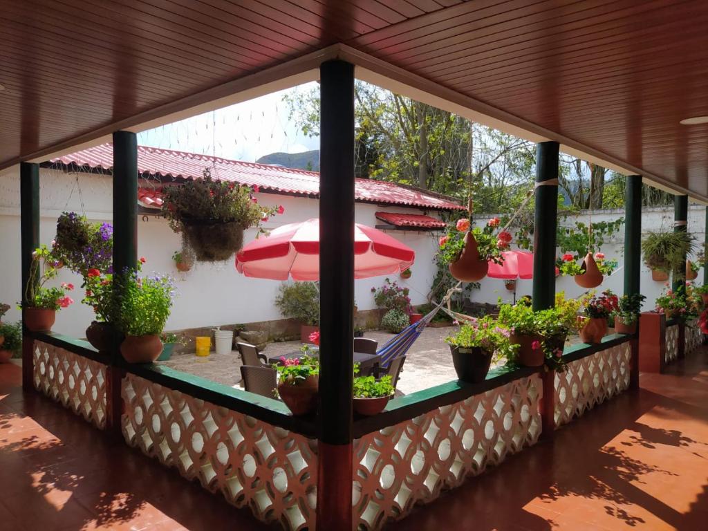 Villa Alioc photo 2