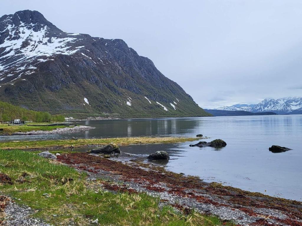 Holiday home Reinfjord photo 4