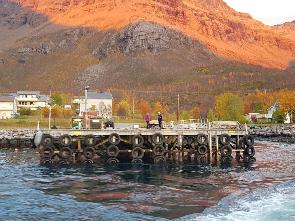Holiday home Reinfjord photo 3