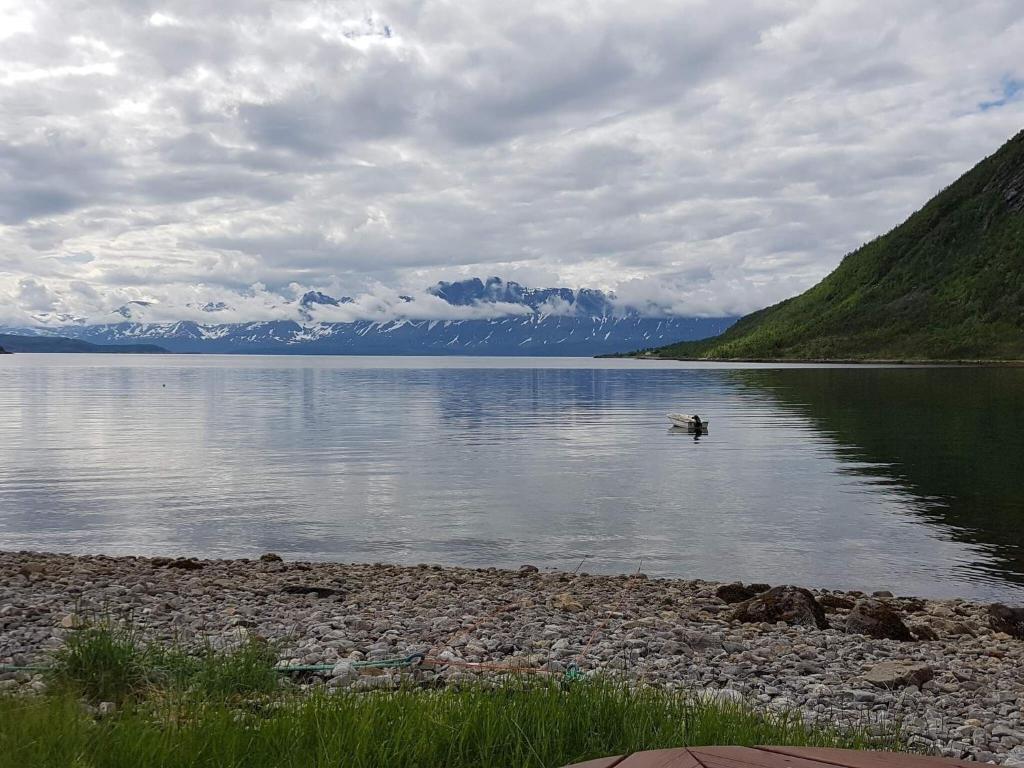 Holiday home Reinfjord photo 1