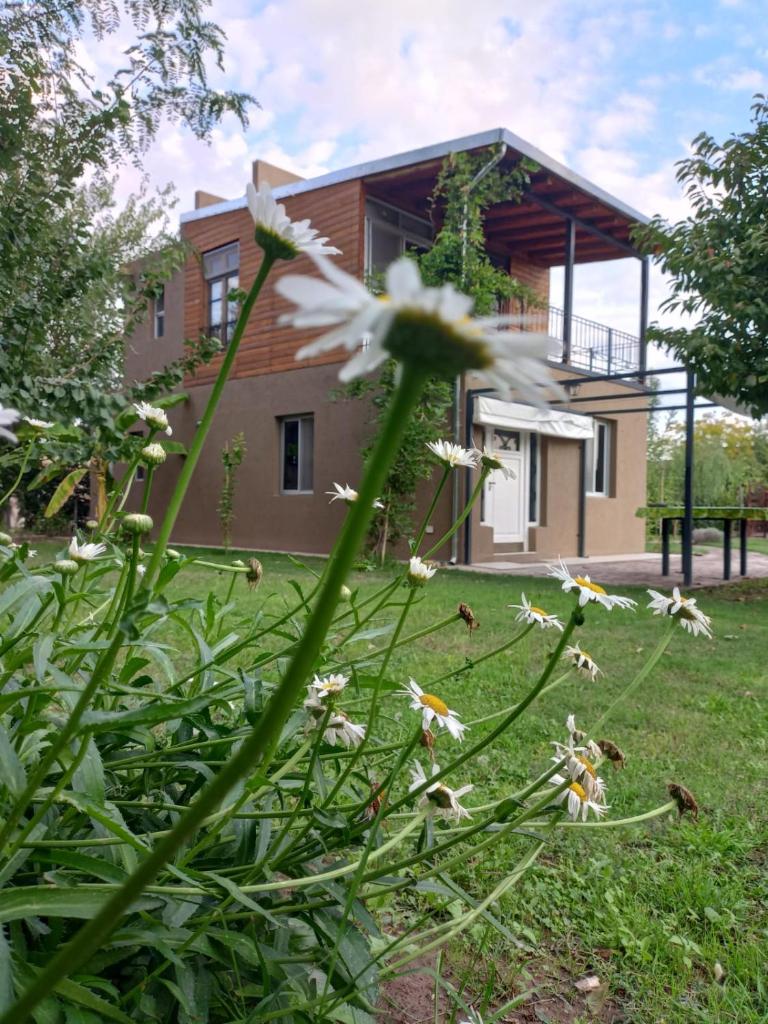 Chacras casa Armonia photo 2