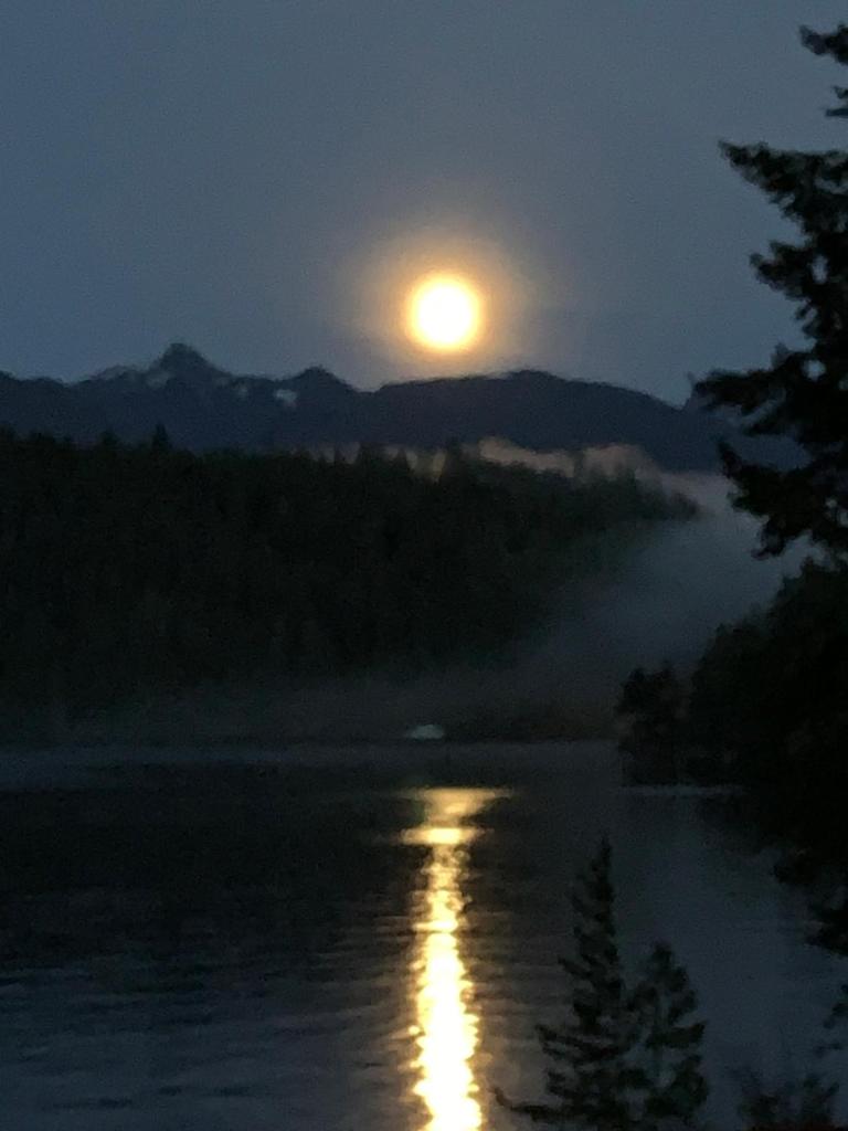 Earls Cove Orca View photo 1