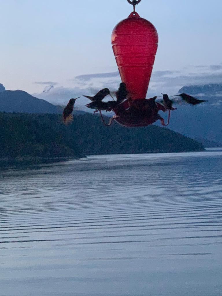 Earls Cove Orca View photo 2