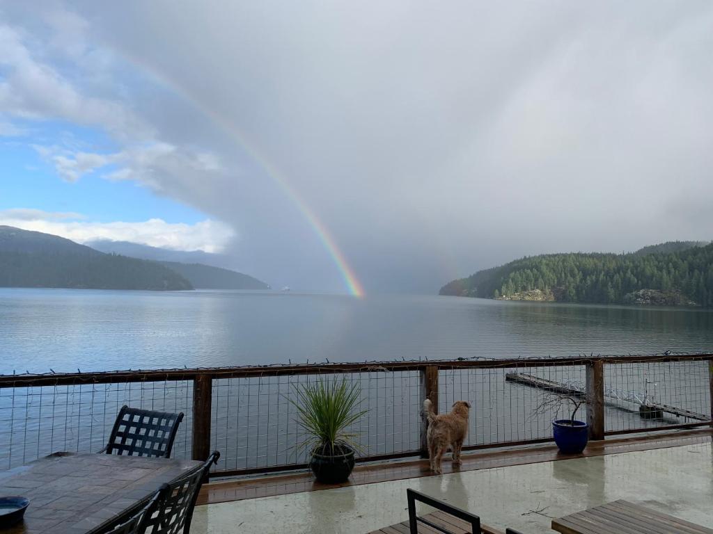 Earls Cove Orca View photo 4
