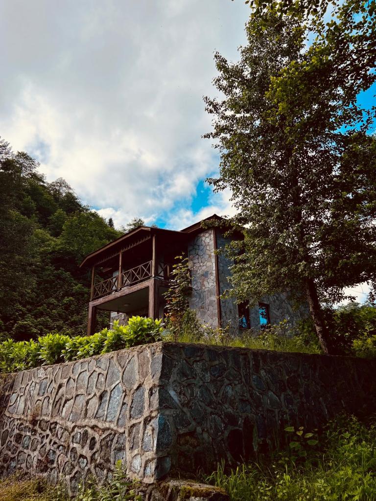 Trabzon Dağ evi
