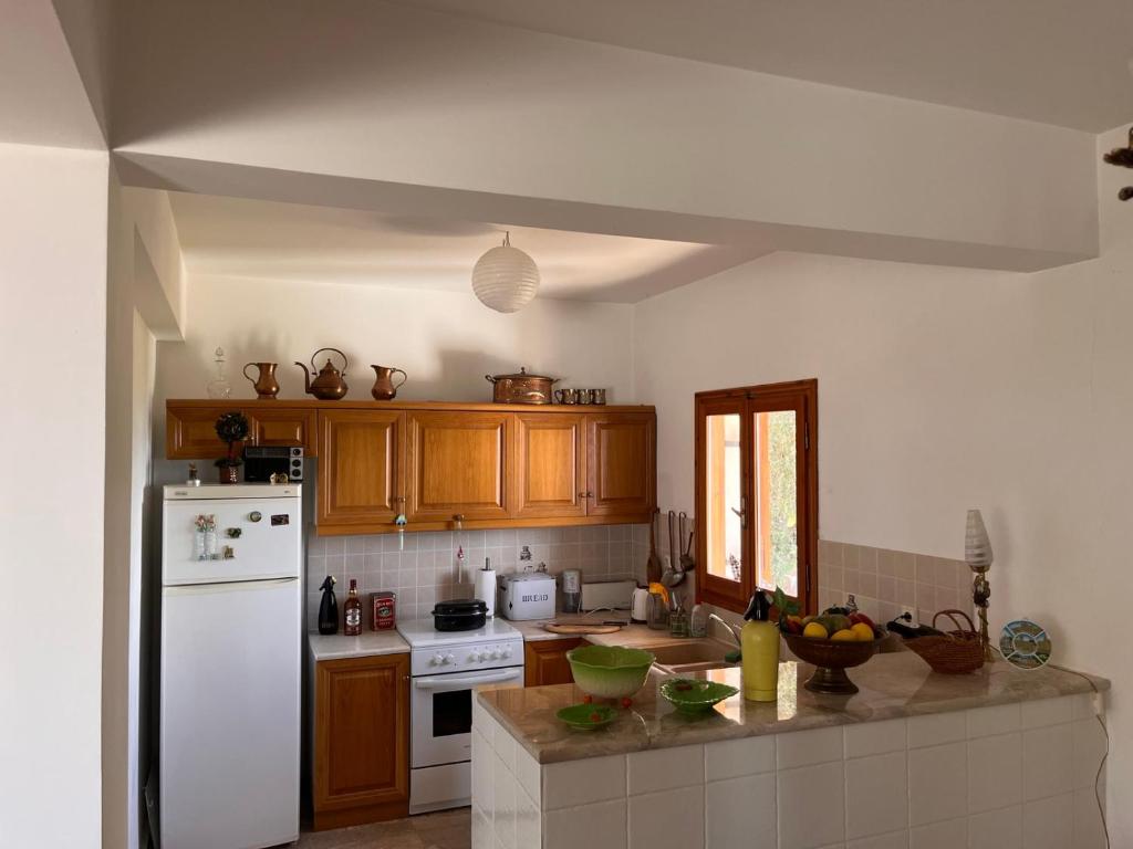 Tranquility Mountain & Sea View Koudoura House photo 3