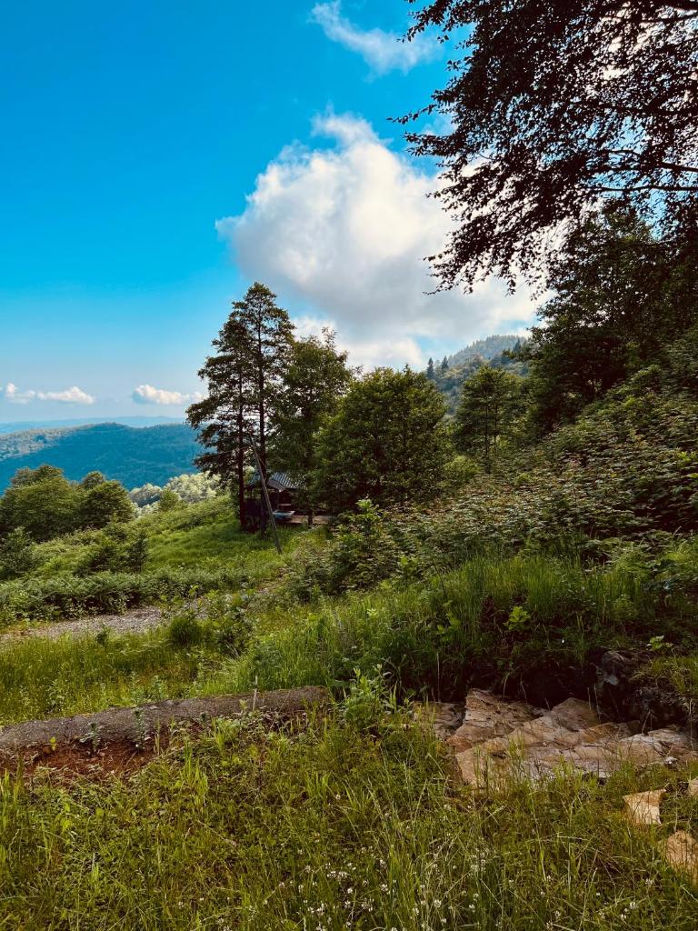 Trabzon Dağ evi photo 4