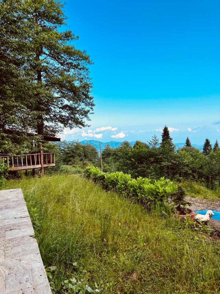 Trabzon Dağ evi photo 3
