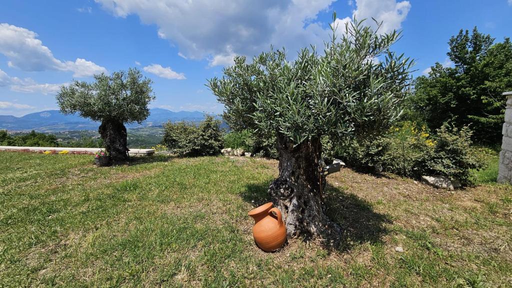 Casa dell’ Orso photo 4