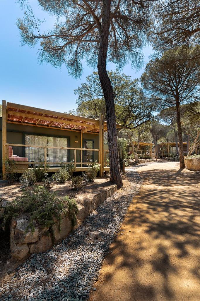 wecamp Santa Cristina photo 3
