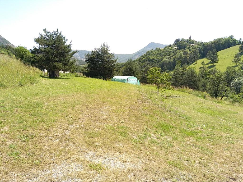 Les amandiers photo 3