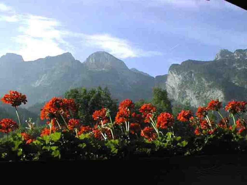 Schörghof photo 4