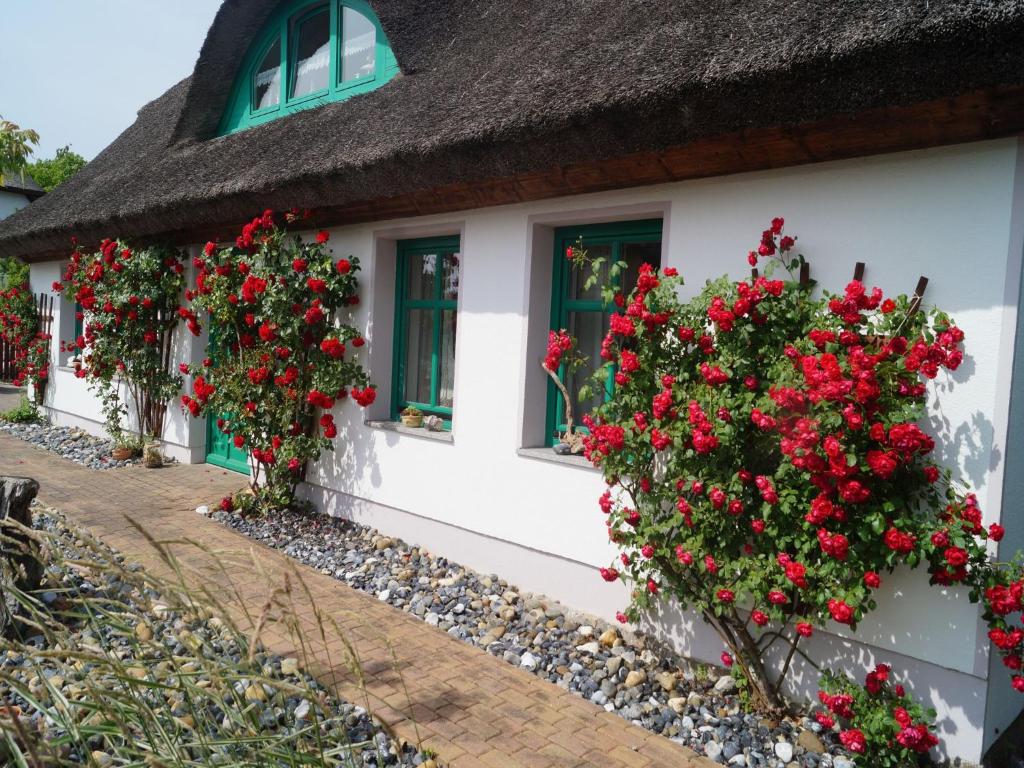 Haus Ostseerose - Ferienwohnungen Florentine, Linus, Ostseerose photo 1