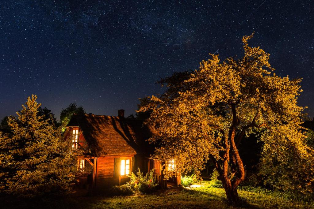 Cisowe Wzgórze photo 2