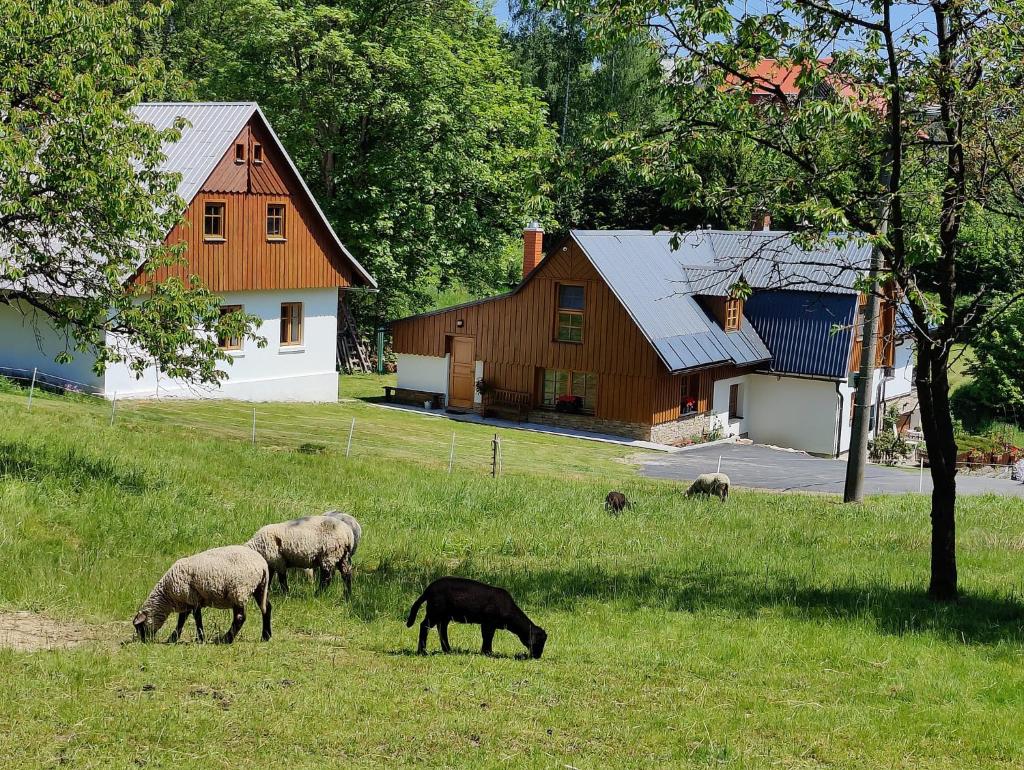 Luxusní apt Hory 7 v Krkonoších photo 2