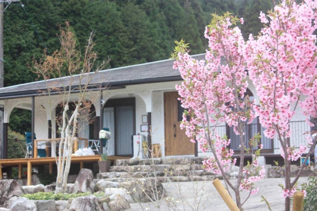 癒しのwonderland 泉 photo 4