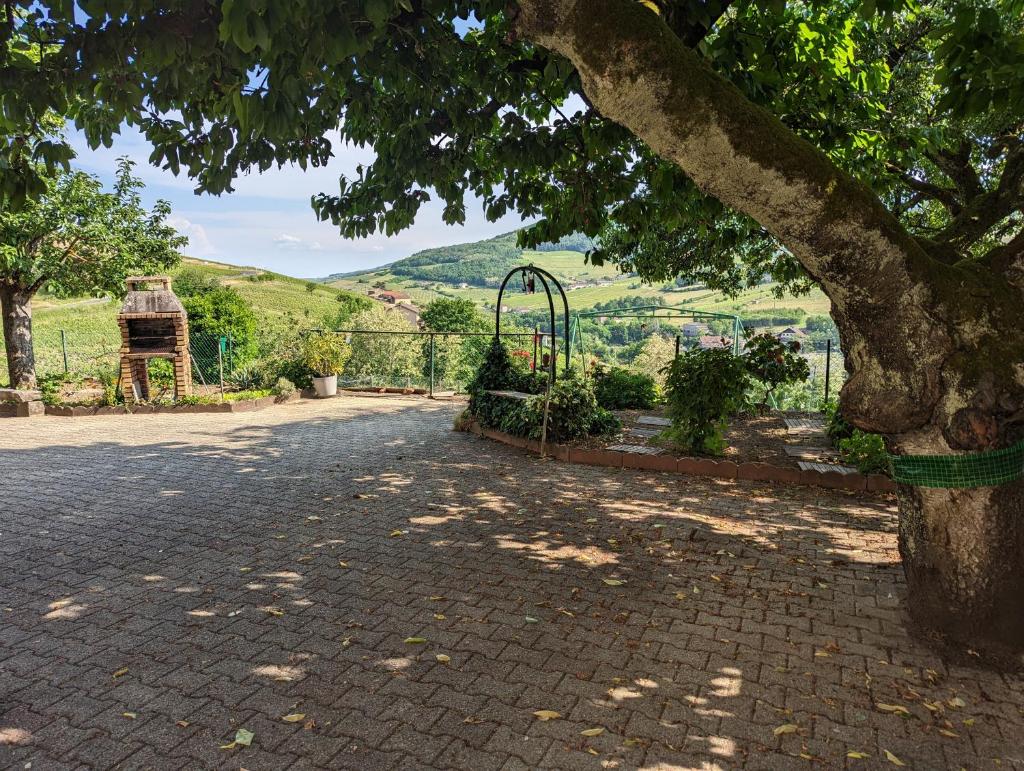 Domaine viticole Philippe Deschamps photo 1