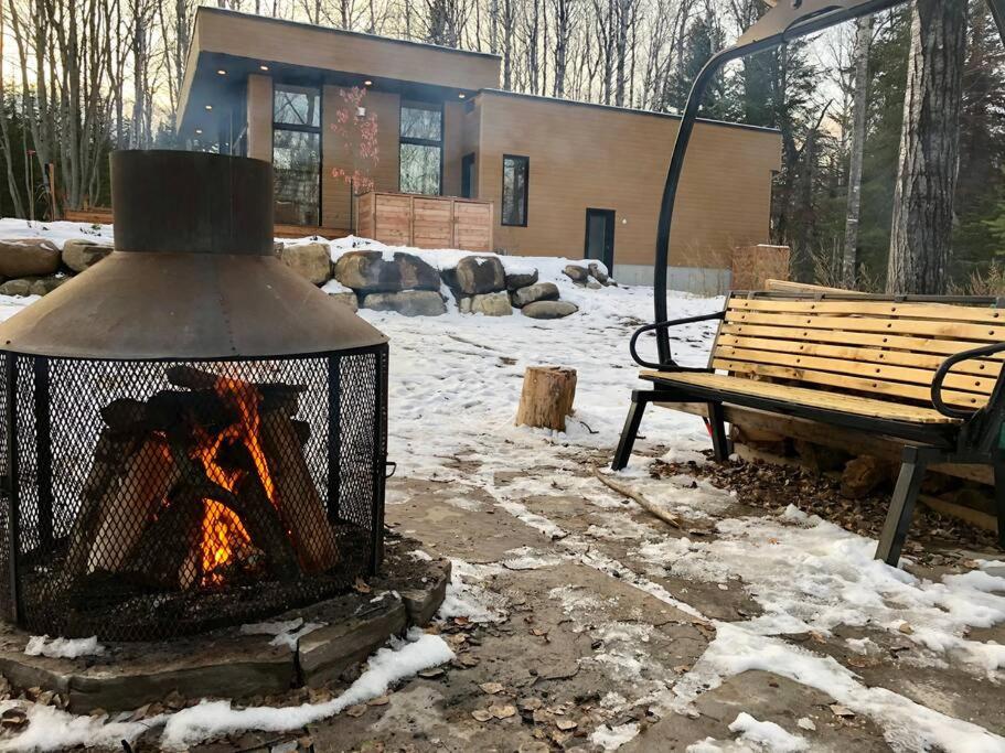 Le Vaillant du Massif photo 1