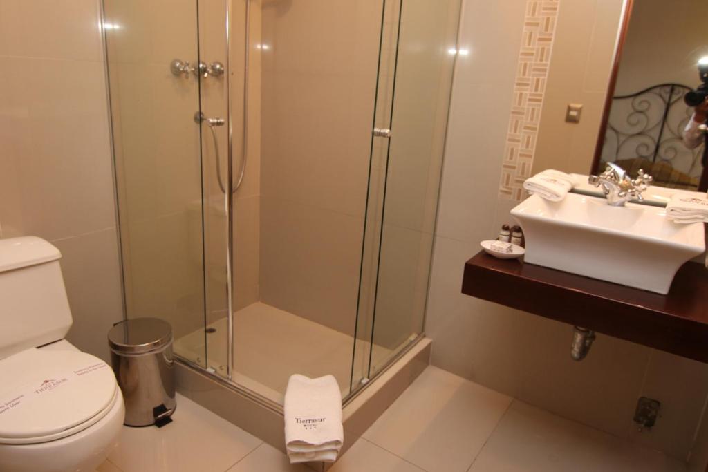 Hotel Tierrasur photo 1