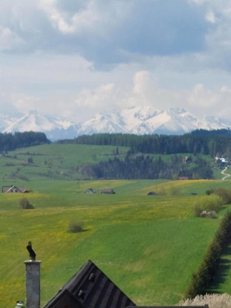 Domki na kocim zamku photo 3