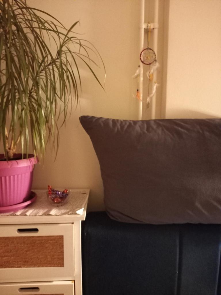 Sunset Apartment photo 2