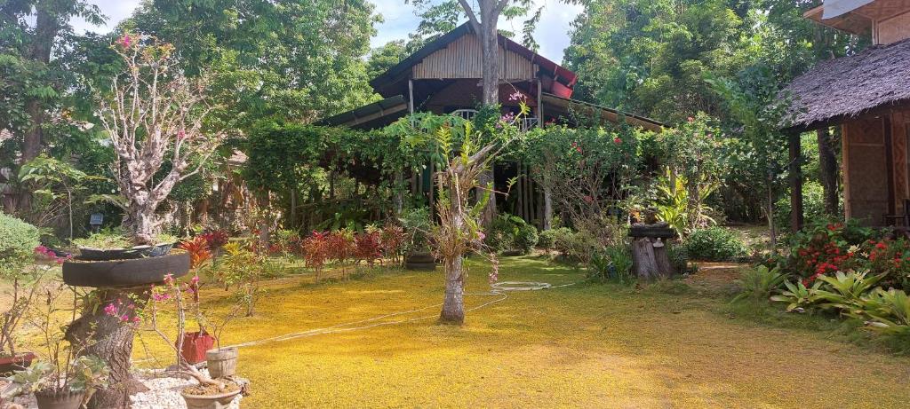 Bohol-Lahoy Dive Resort photo 4