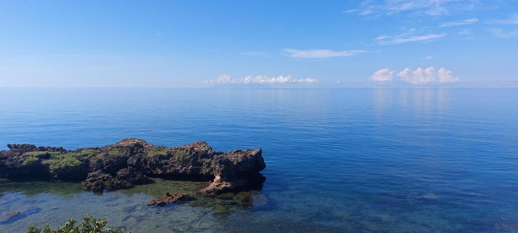 Bohol-Lahoy Dive Resort photo 3