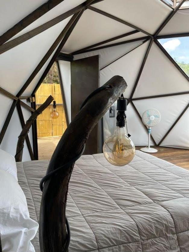 Glamping ecoglam Medellín photo 4