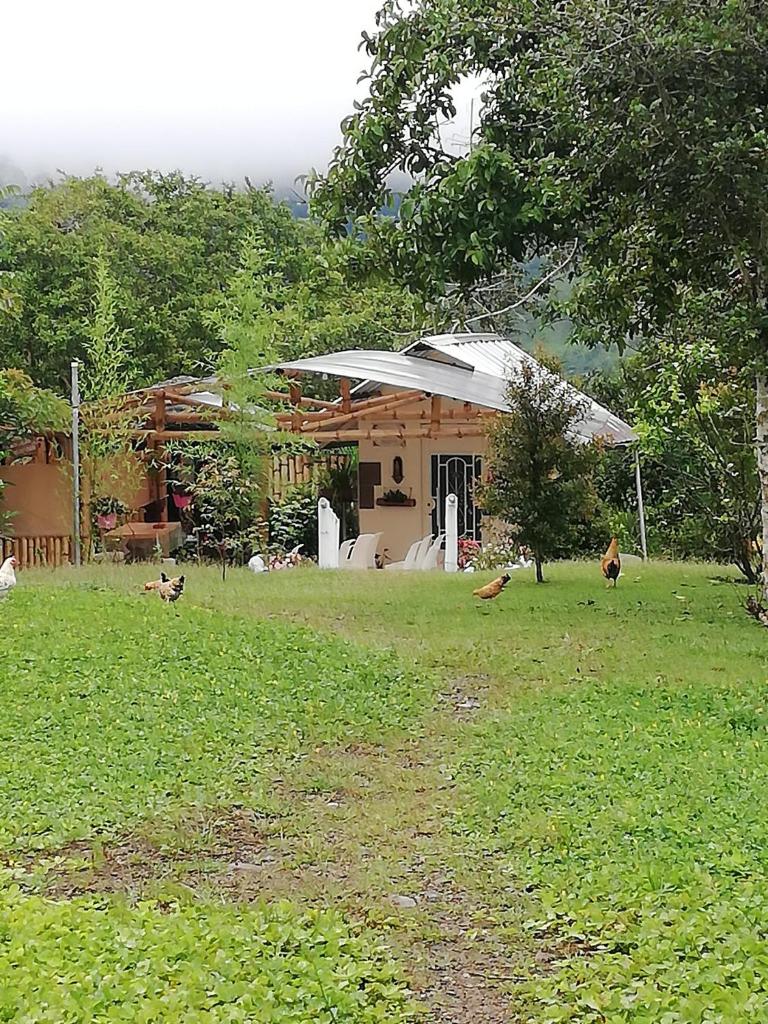 Green Bamboo Lodge photo 4