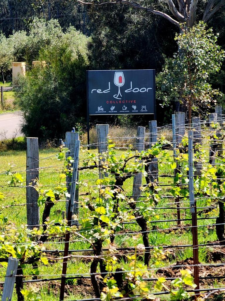 Red Door Collective - RDC Vineyard Estate photo 1